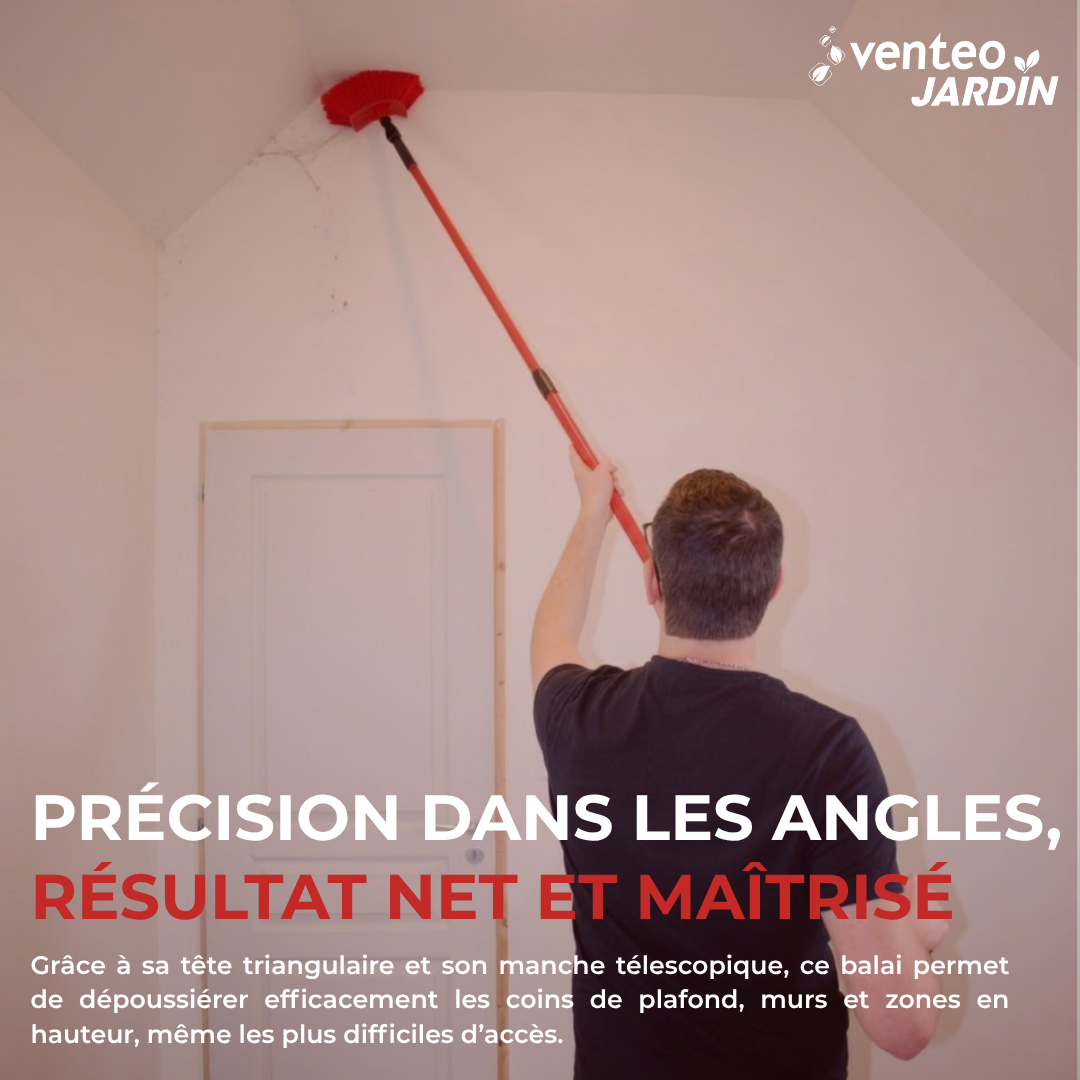 XXL Mop with Triangular Head